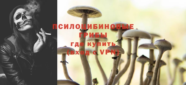ГАЛЛЮЦИНОГЕННЫЕ ГРИБЫ Нягань