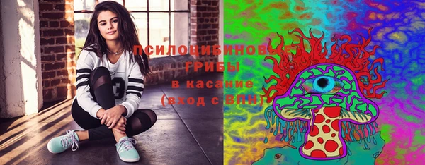 не бодяженный Осташков