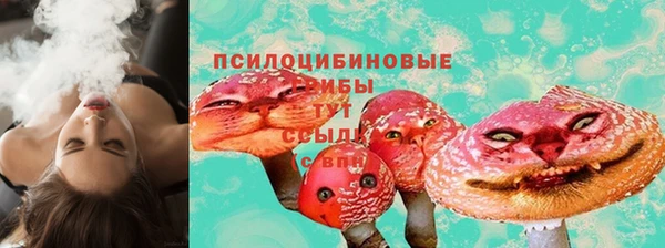 ГАЛЛЮЦИНОГЕННЫЕ ГРИБЫ Нягань